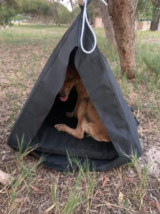 Dog Teepee (swag)