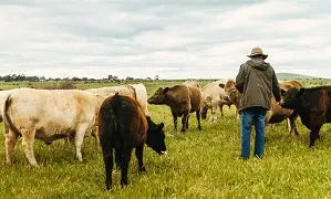 For the Farmer