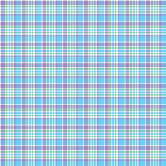 Pre Order Swag Blanket - PLAID 2
