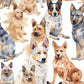 Pre Order Swag Blanket - Red and Blue Heelers
